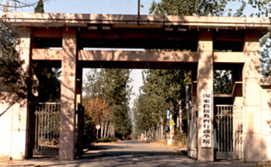 1991