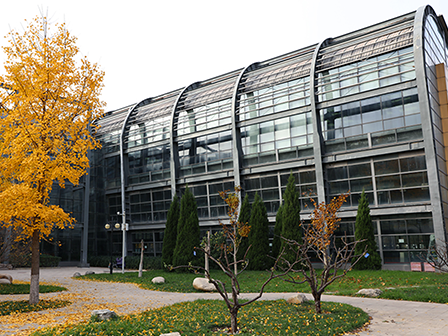 The four seasons